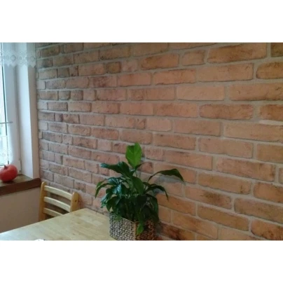 Stara Cegła Angielska Naturalna jasna